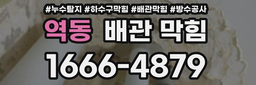 역동 배관 막힘