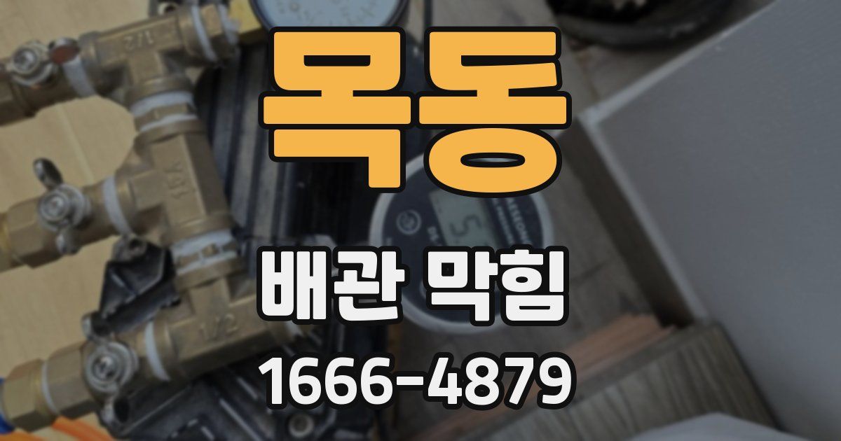 목동 배관 막힘