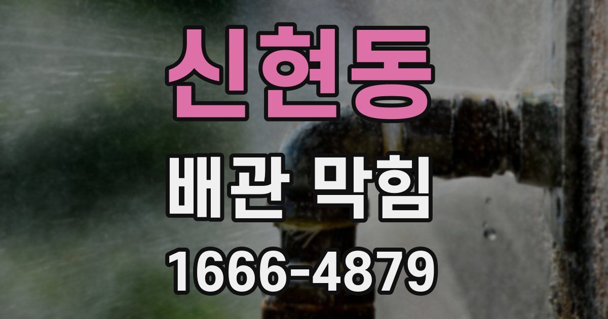 신현동 배관 막힘