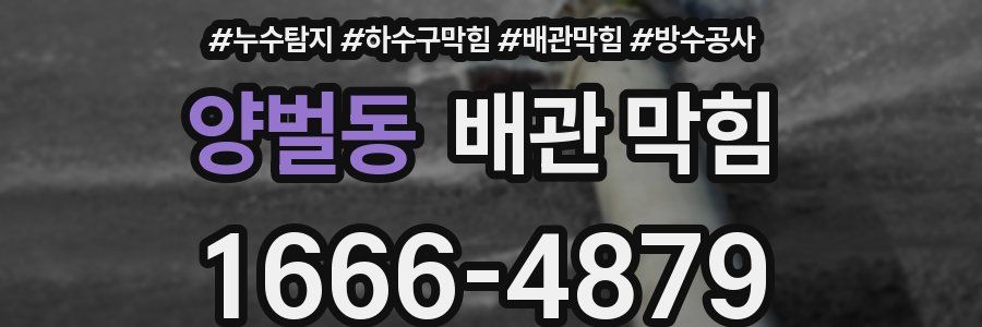양벌동 배관 막힘