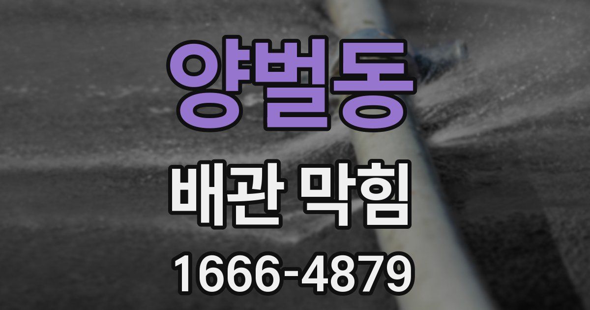 양벌동 배관 막힘