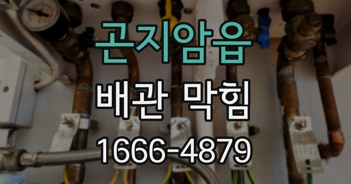 곤지암읍 배관 막힘