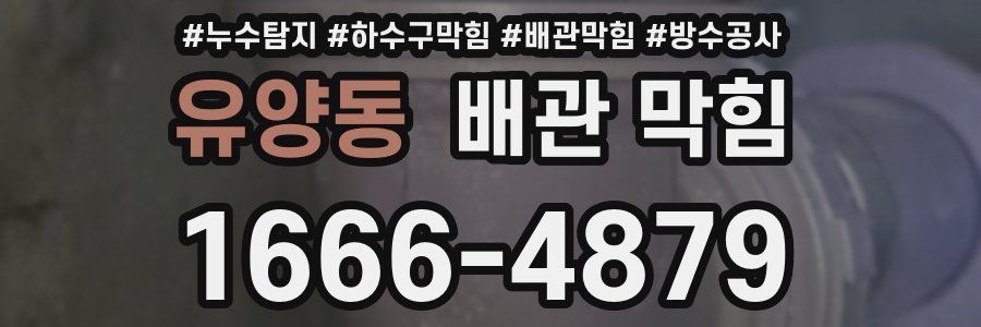 유양동 배관 막힘