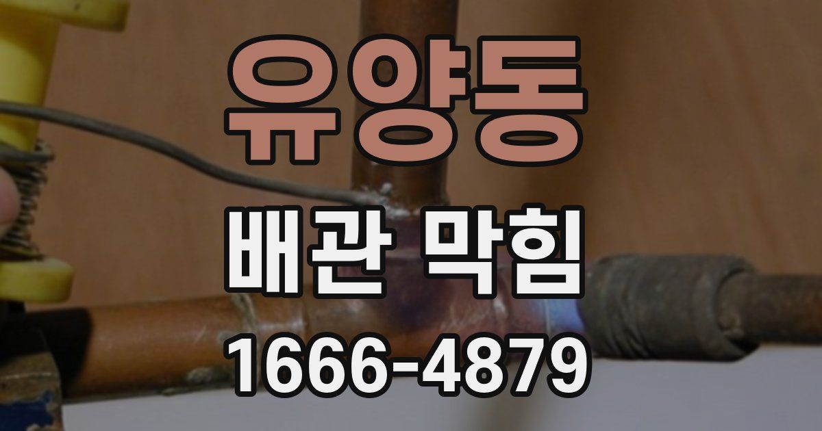 유양동 배관 막힘