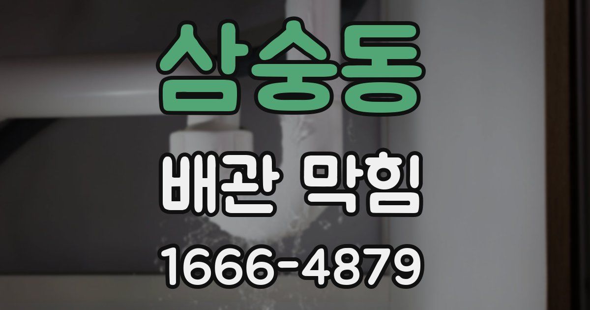 삼숭동 배관 막힘