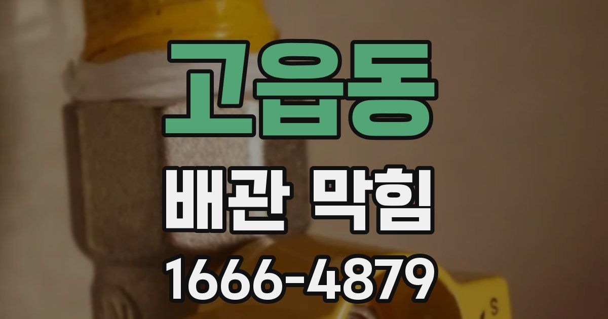 고읍동 배관 막힘