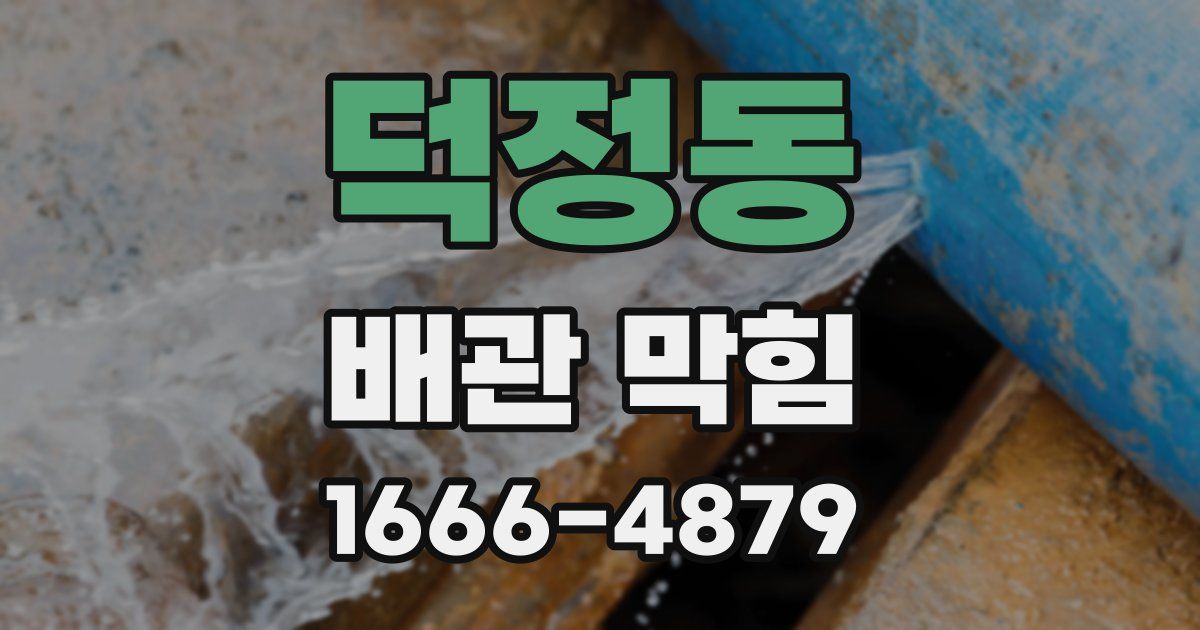 덕정동 배관 막힘