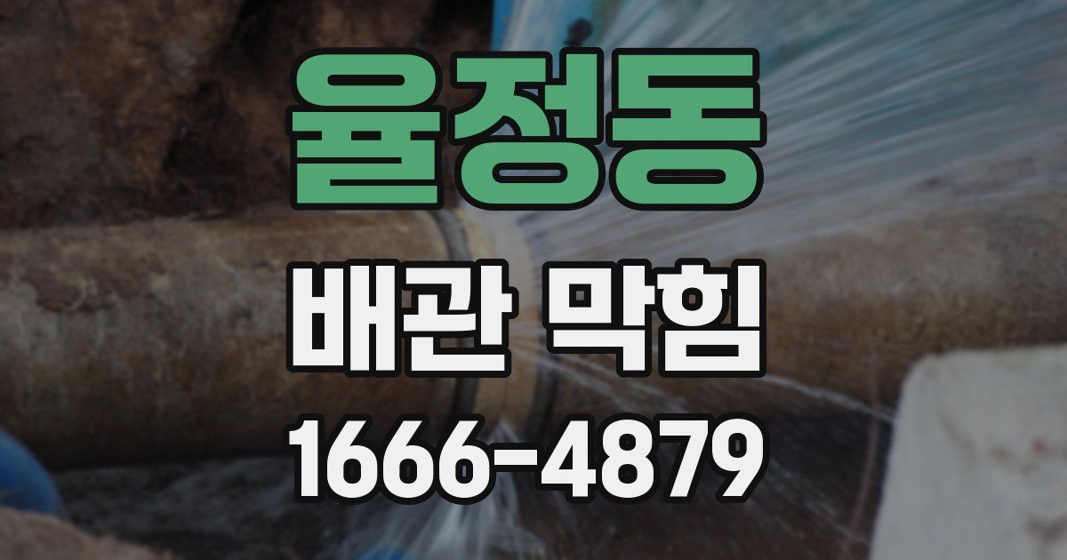 율정동 배관 막힘