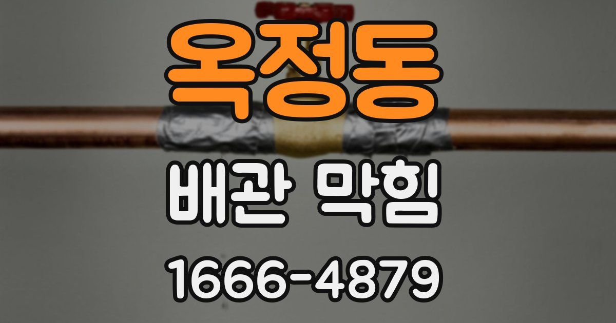 옥정동 배관 막힘
