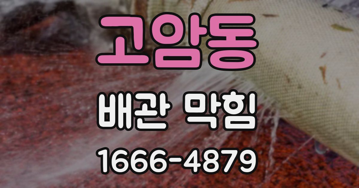 고암동 배관 막힘