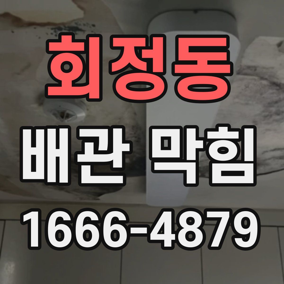 회정동 배관 막힘
