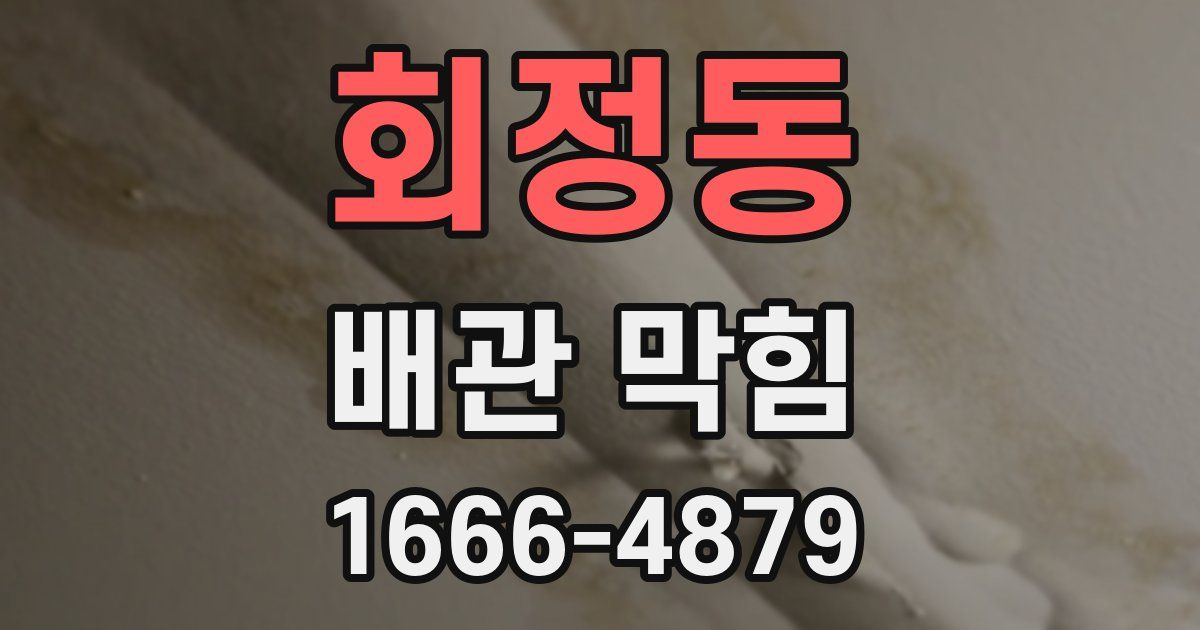 회정동 배관 막힘
