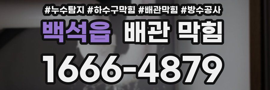 백석읍 배관 막힘