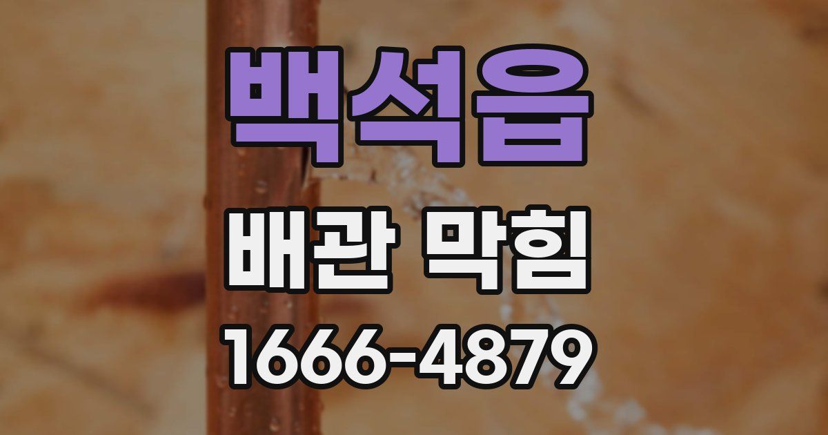 백석읍 배관 막힘