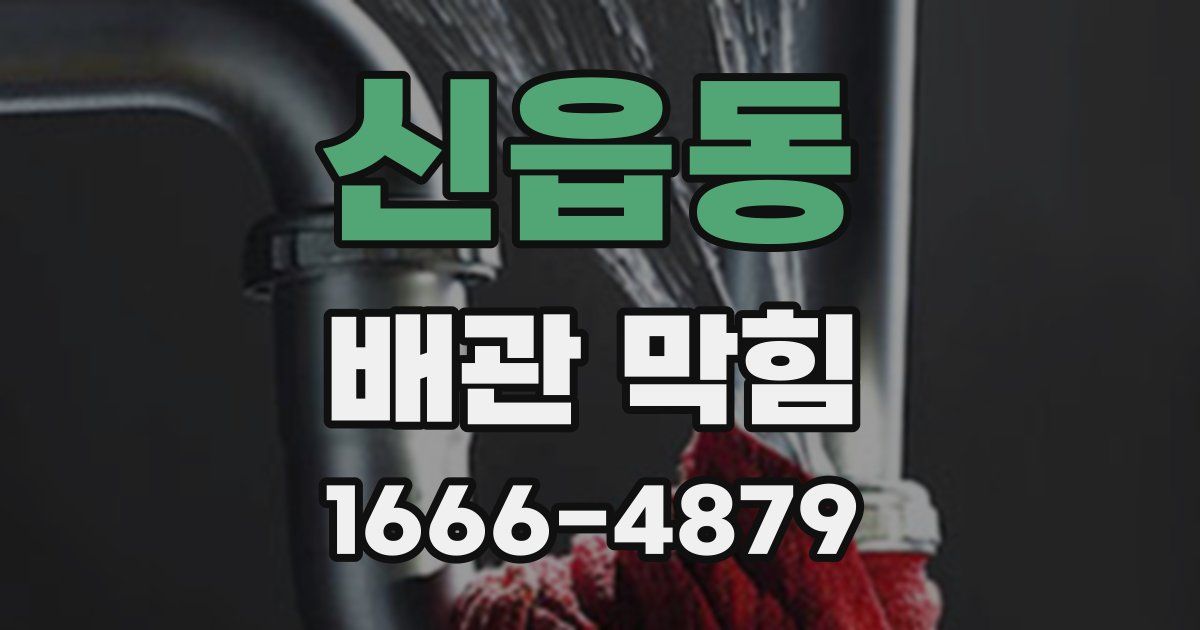신읍동 배관 막힘