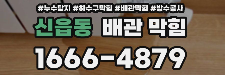 신읍동 배관 막힘
