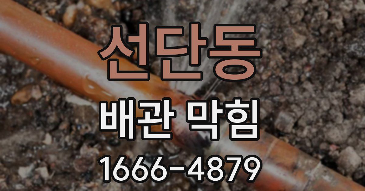 선단동 배관 막힘