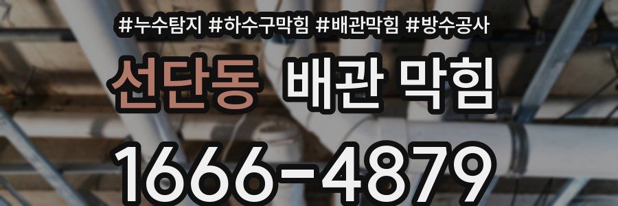 선단동 배관 막힘