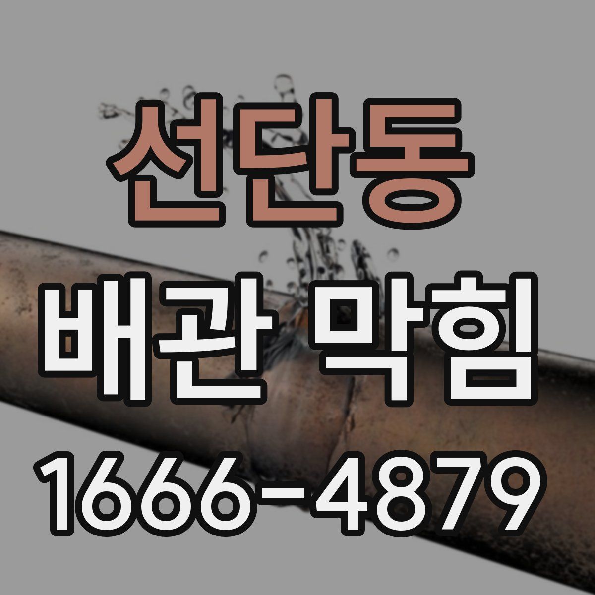 선단동 배관 막힘