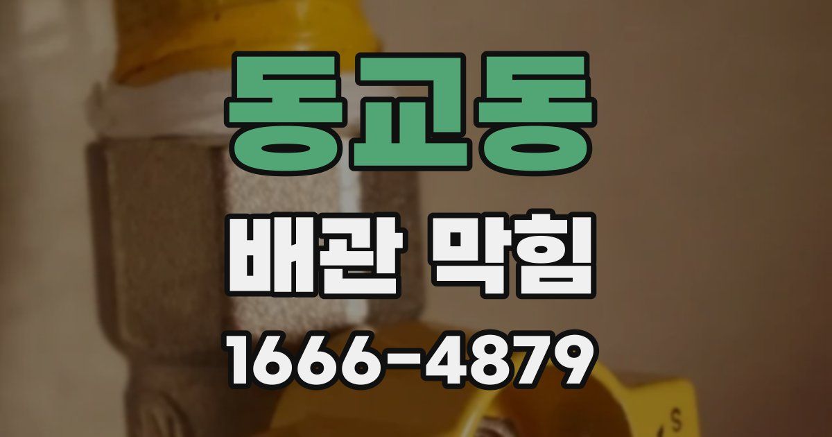 동교동 배관 막힘