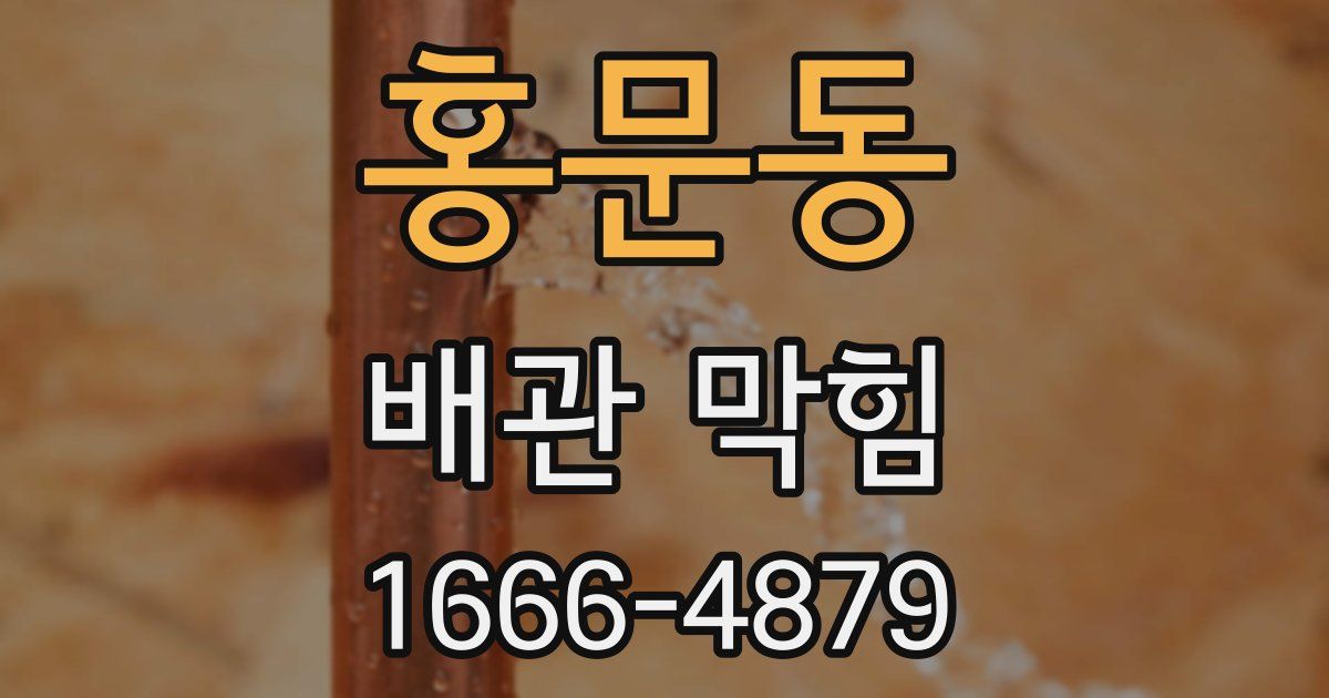 홍문동 배관 막힘
