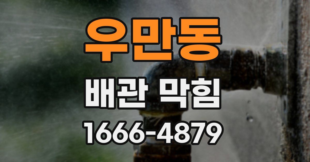 우만동 배관 막힘