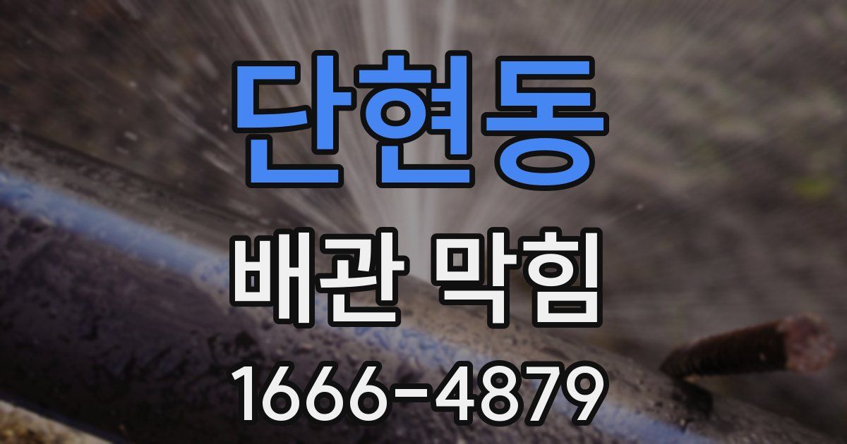 단현동 배관 막힘