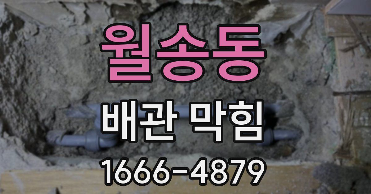 월송동 배관 막힘