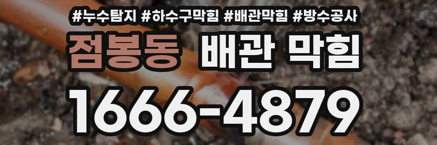 점봉동 배관 막힘