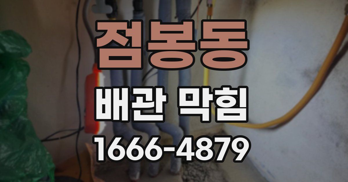 점봉동 배관 막힘