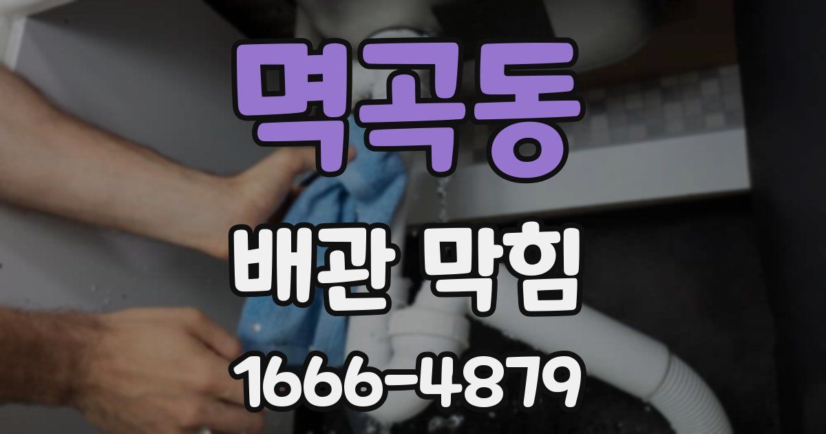 멱곡동 배관 막힘
