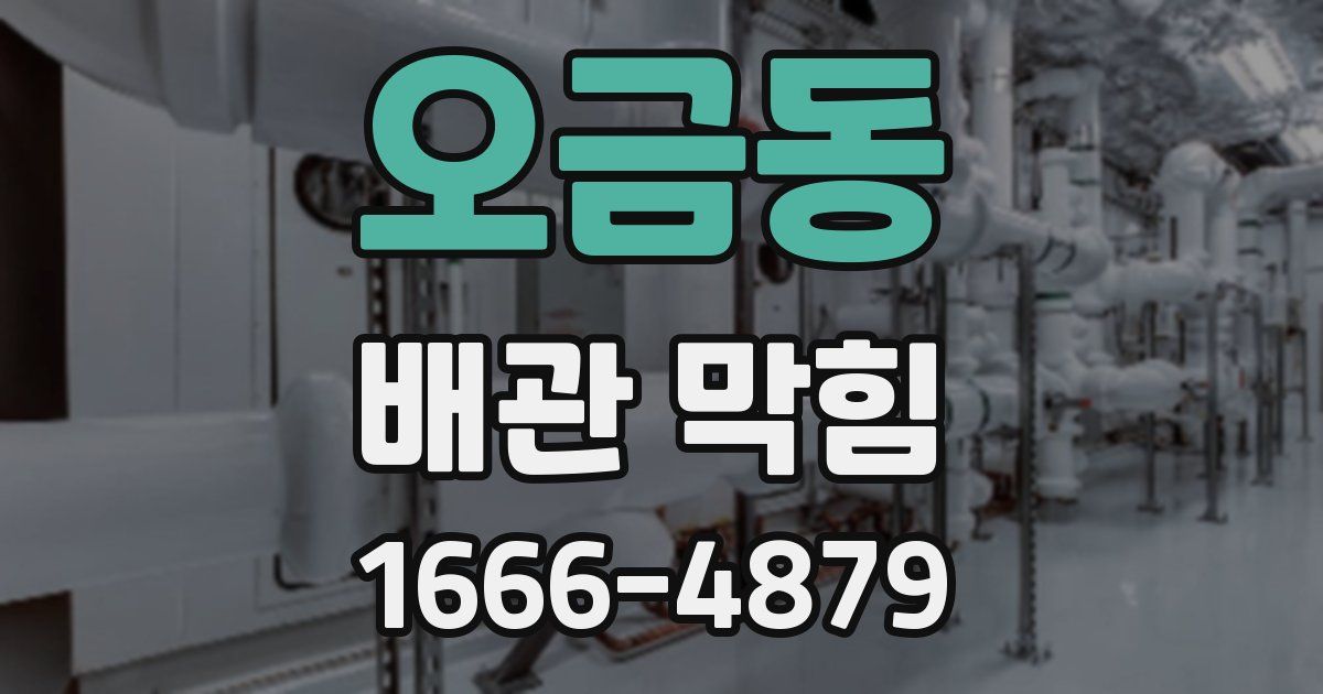 오금동 배관 막힘