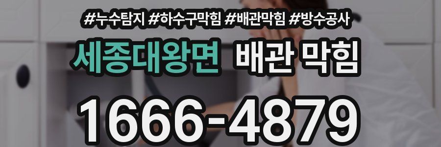 세종대왕면 배관 막힘
