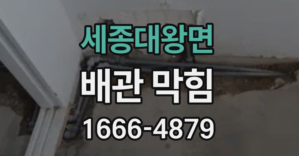 세종대왕면 배관 막힘