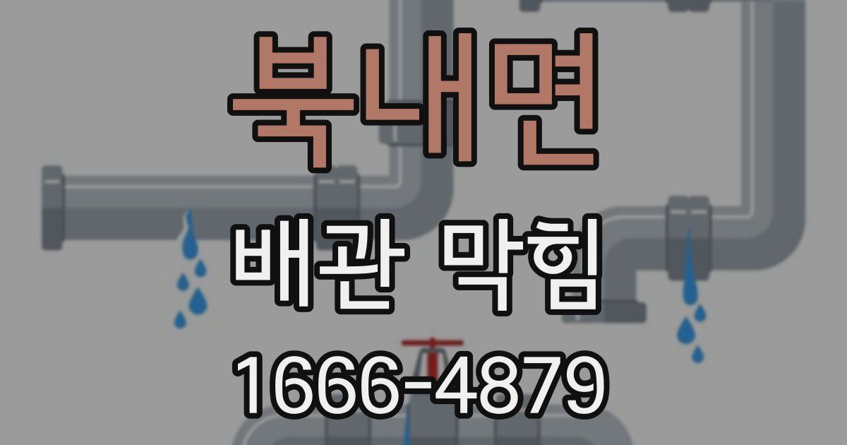 북내면 배관 막힘
