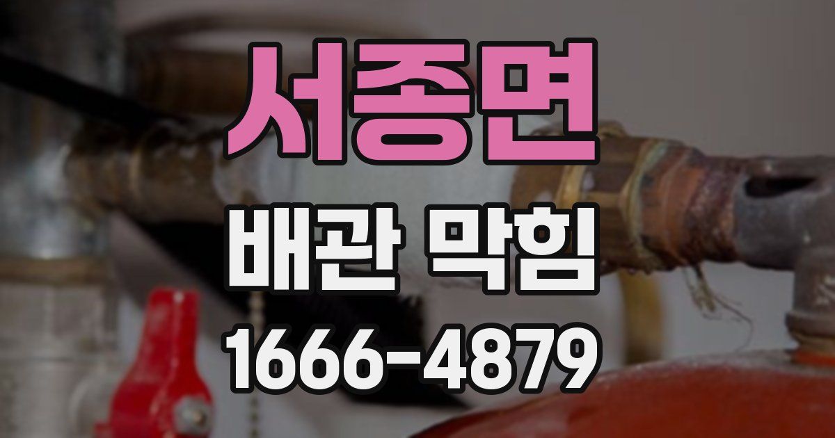 서종면 배관 막힘