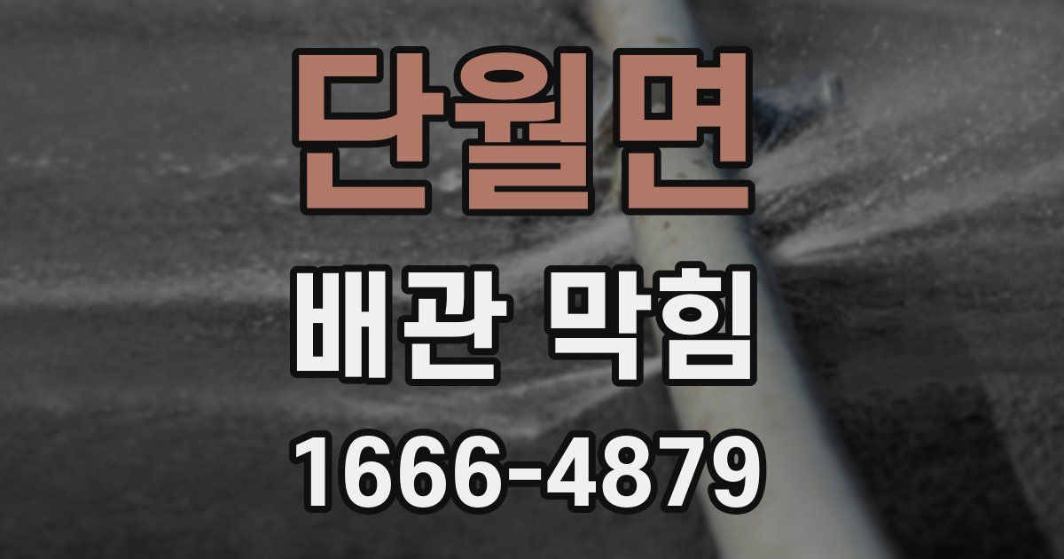 단월면 배관 막힘
