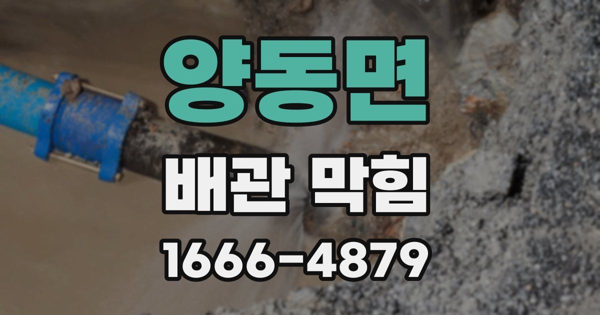 양동면 배관 막힘