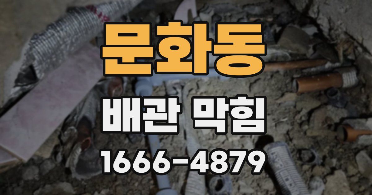 문화동 배관 막힘