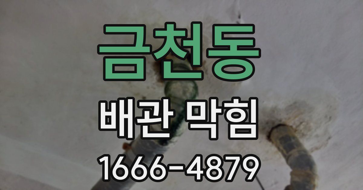 금천동 배관 막힘