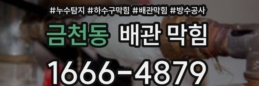 금천동 배관 막힘