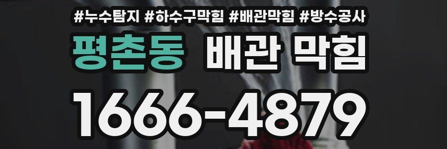 평촌동 배관 막힘