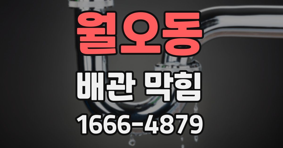 월오동 배관 막힘