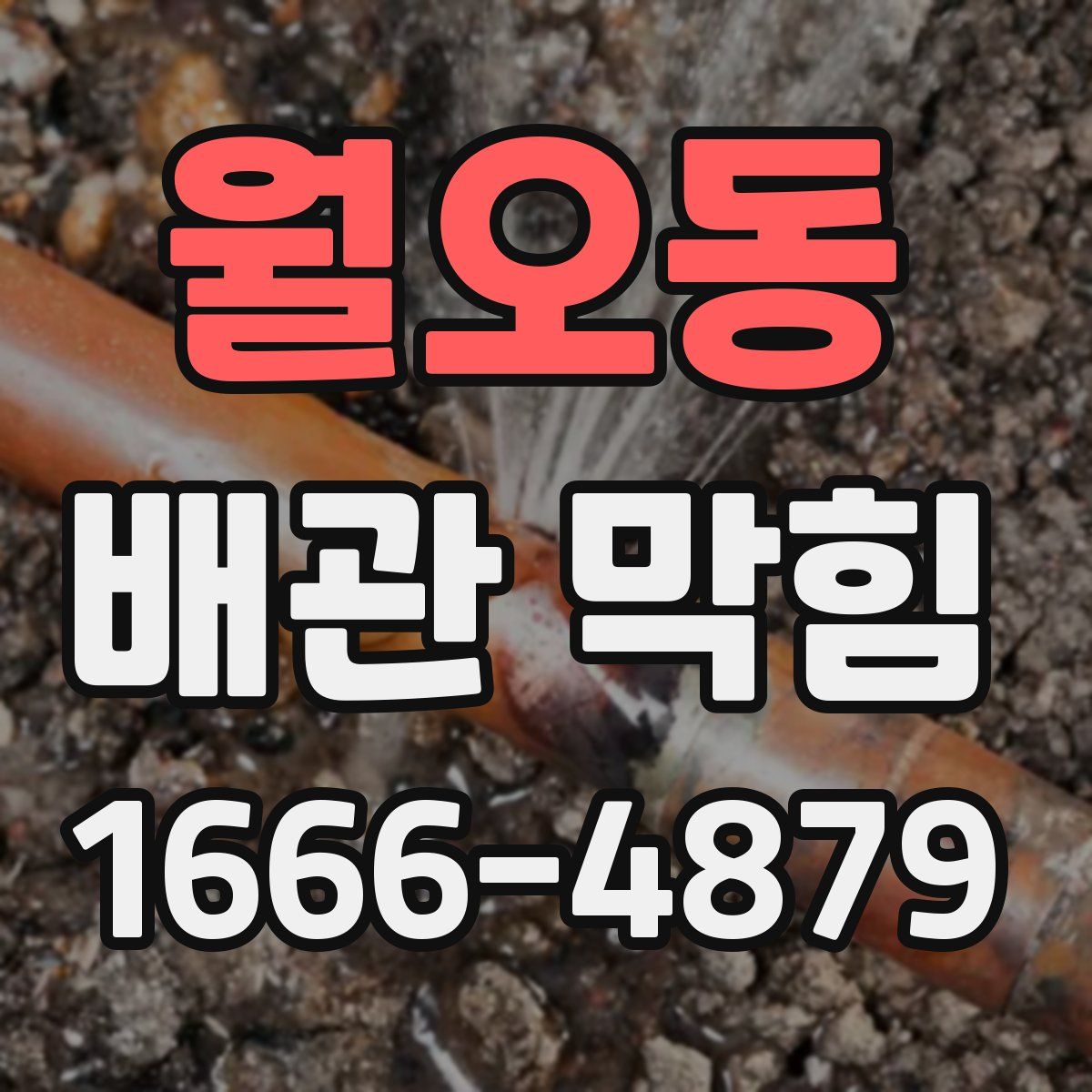 월오동 배관 막힘