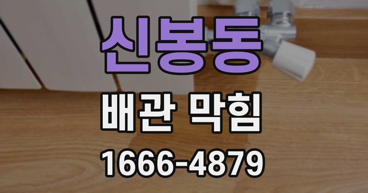 신봉동 배관 막힘