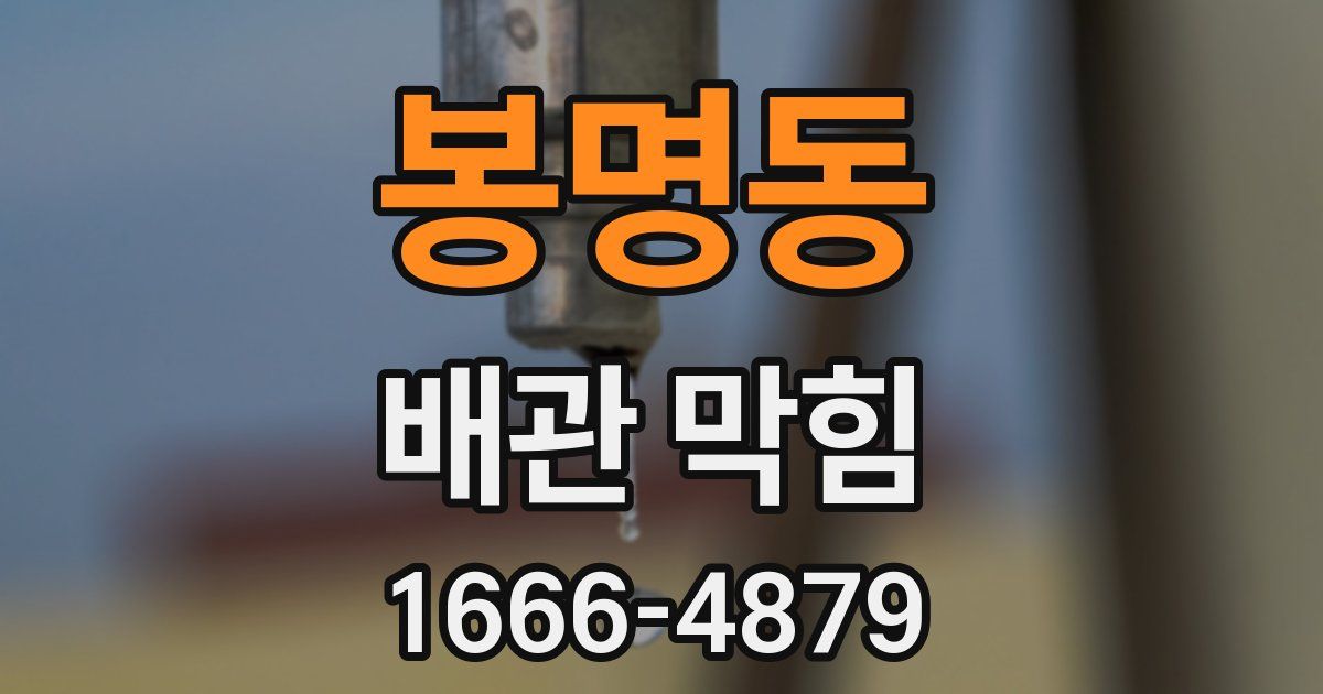 봉명동 배관 막힘
