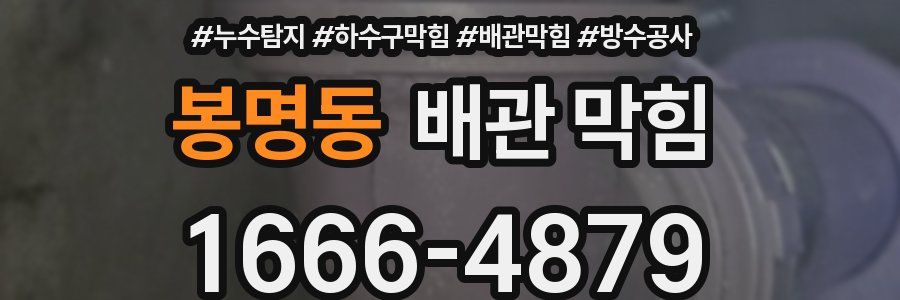 봉명동 배관 막힘
