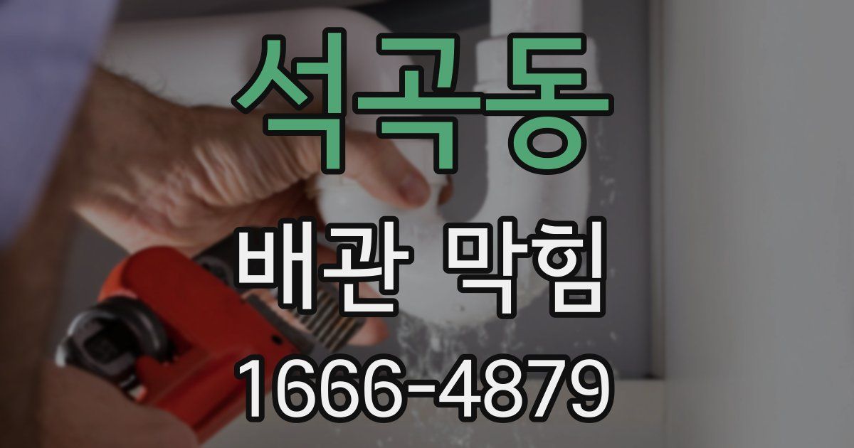 석곡동 배관 막힘