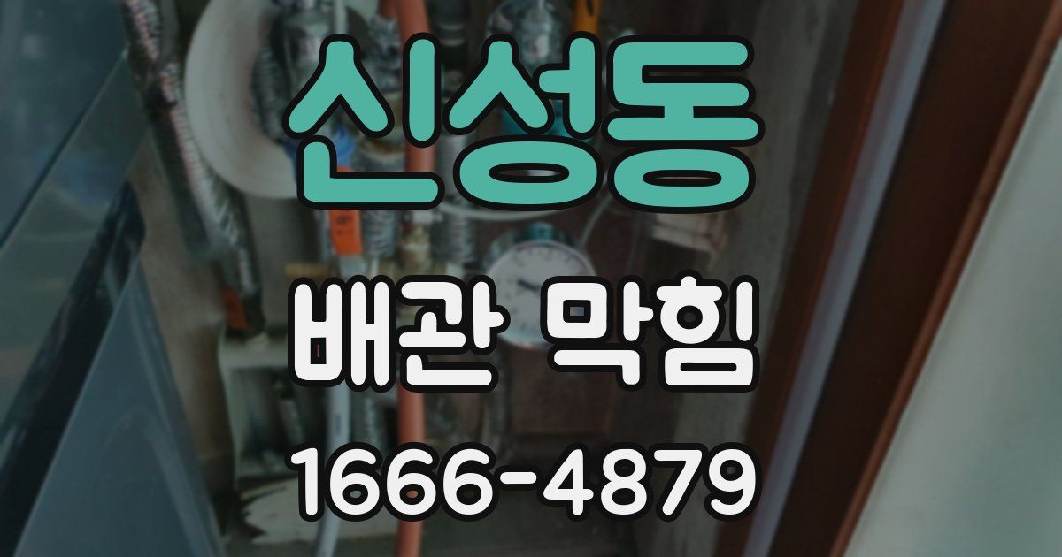 신성동 배관 막힘