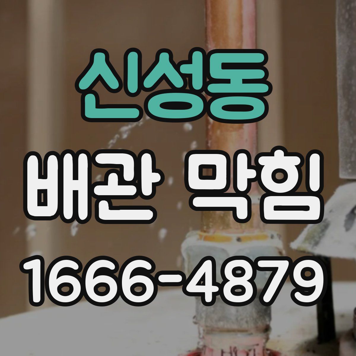 신성동 배관 막힘